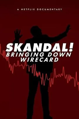金融丑闻:揭发Wirecard诈骗案